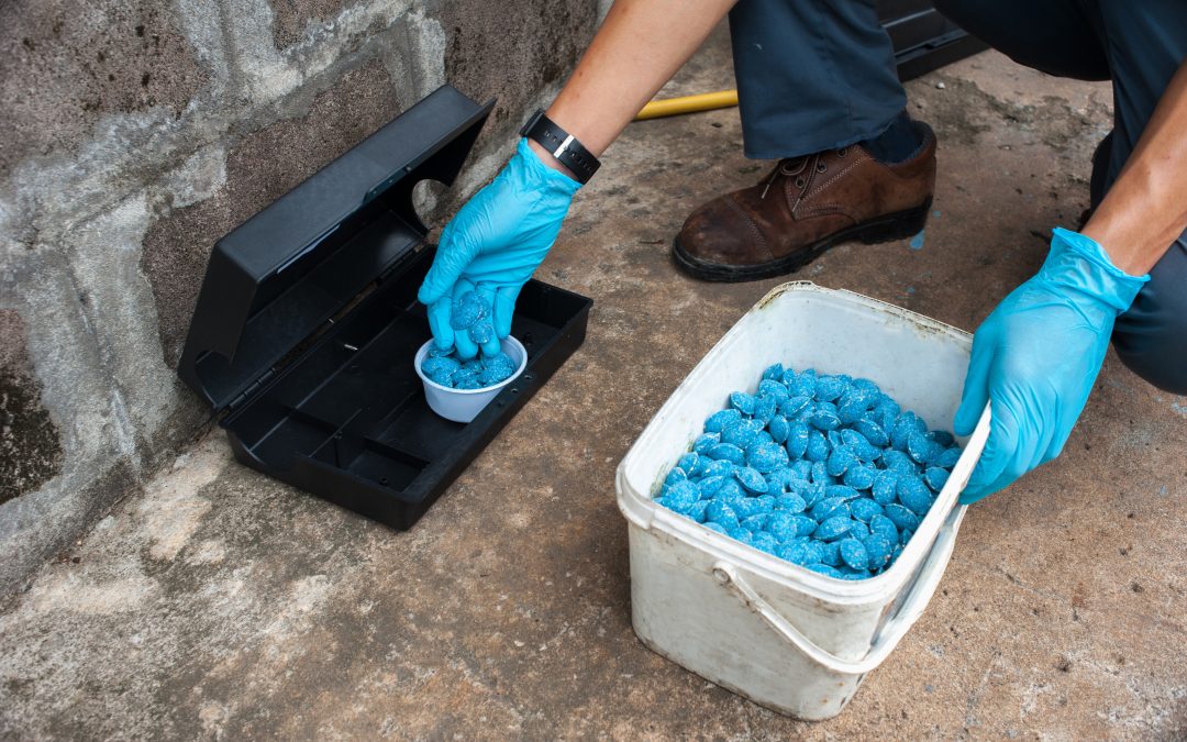 Reasons Why You Should Hire a Professional for Pest Control